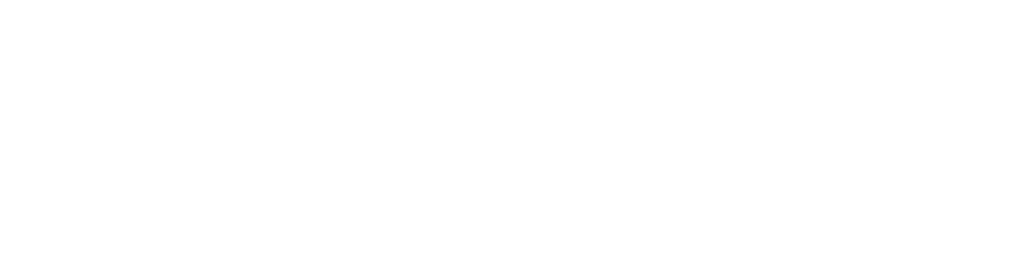 Holimedia